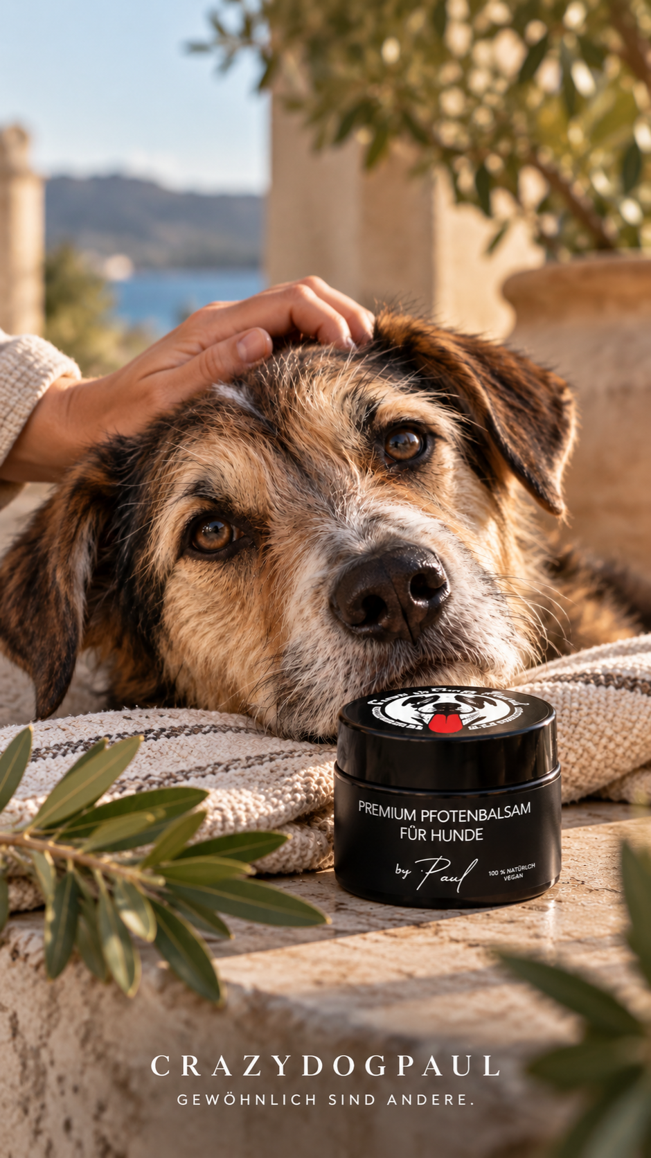 CrazyDogPaul Premium Pfotenbalsam für Hunde gegen Grasmilben & Risse – Natürlicher Pfotenschutz 50ml