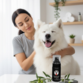 Hund kratzt sich ständig? Juckreiz braucht eine sanfte Pflege. Das links abgebildete Produkt lindert Juckreiz sofort ab der ersten Wäsche, beruhigt die Hautbarriere und spendet Feuchtigkeit.