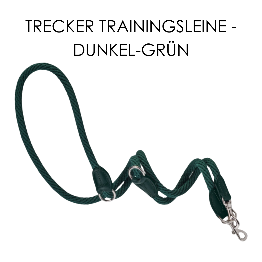Malucchi Luxus Trainingsleine TREKKER aus Leder & Tau