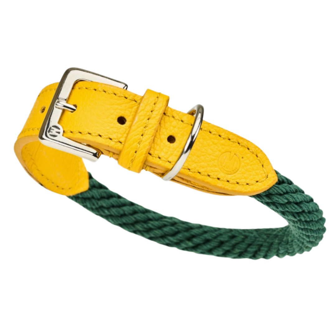 Malucchi Luxus Hundehalsband TREKKER aus Leder & Tau