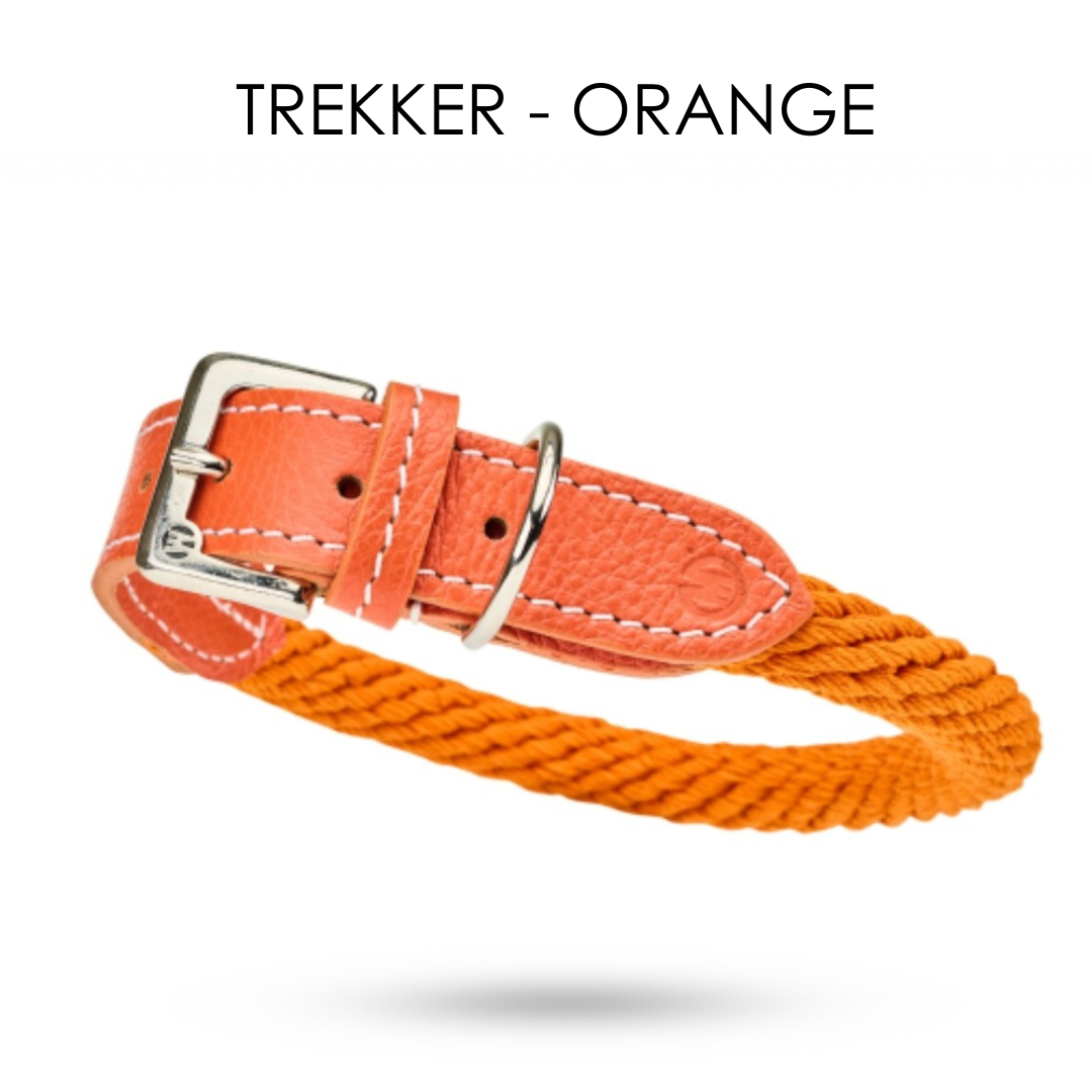 Malucchi Luxus Hundehalsband TREKKER aus Leder & Tau