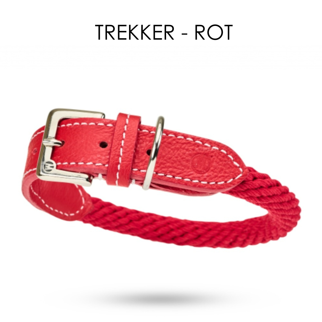 Malucchi Luxus Hundehalsband TREKKER aus Leder & Tau