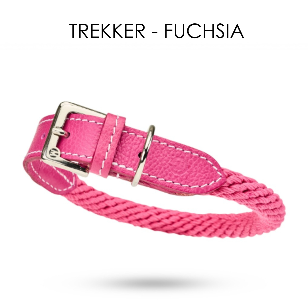Malucchi Luxus Hundehalsband TREKKER aus Leder & Tau