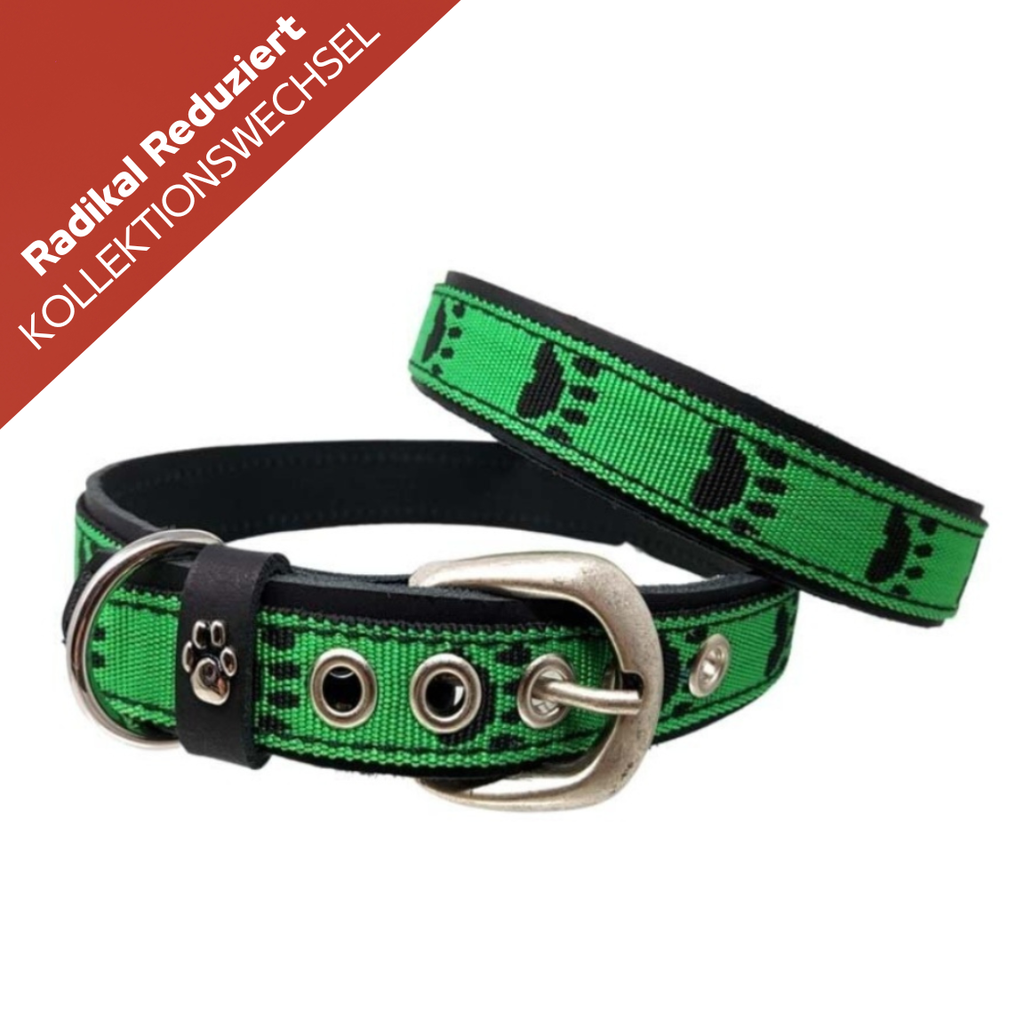 CrazyDogPaul Premium Hundehalsband TERNI – Echtes Leder mit Pfoten-Print (2,5 cm)