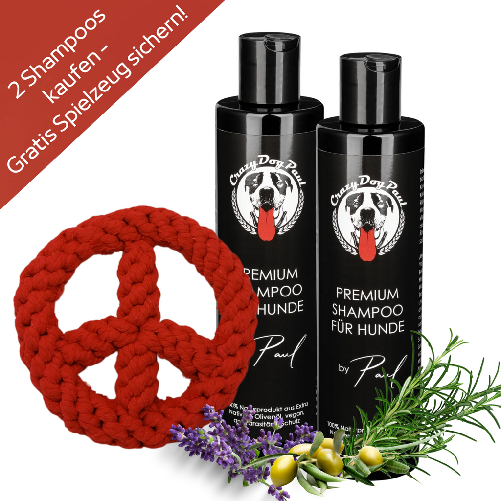 Langhaar-Fellpflege Set: 2x Shampoo + Gratis Zahnputz-Spielzeug