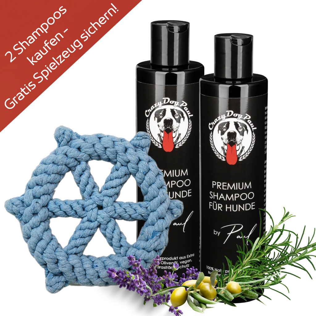 Hypoallergen-Set: 2x Shampoo ohne Zusätze + Gratis Spielzeug