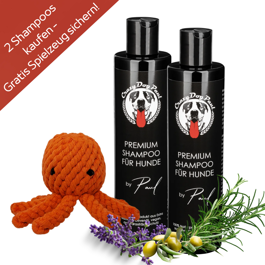 Fellpflege & Wasch-Set: 2x Hundeshampoo + Gratis Spielzeug