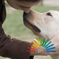 WELCHES HUNDESHAMPOO IST DAS BESTE? Es muss exakt pH-neutral (7,0–7,5) sein, rein natürlich ohne Chemie pflegen, Juckreiz sofort effektiv lindern und lästigem Zeckenbefall sicher vorbeugen.