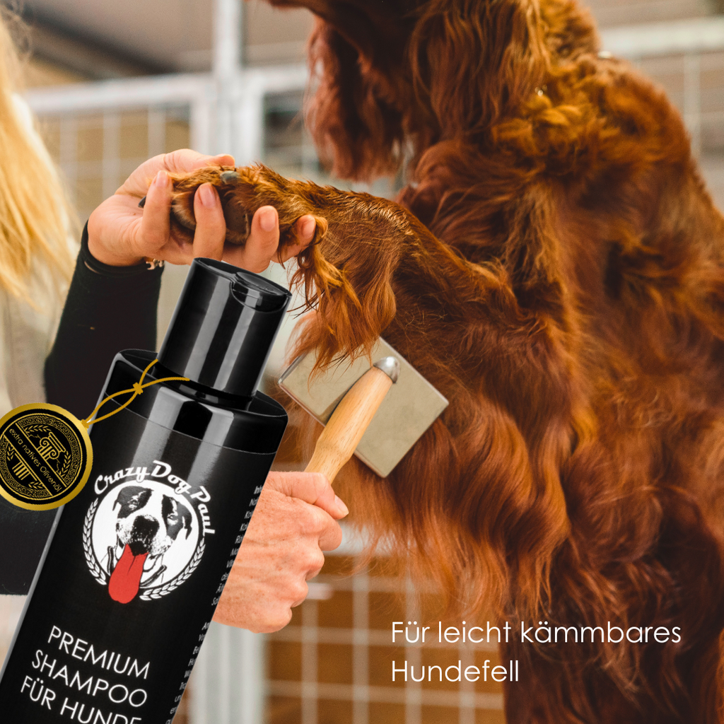 CrazyDogPaul Premium All-Inclusive Set – Ganzheitliche Fell-, Ohren- & Pfotenpflege