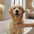 Wie oft sollte ich meine Hund baden? So oft wie nötig, aber hautschonend. Die meisten Hundeshampoos reinigen zwar aber zerstören durch Einsatz von Chemie die natürliche Fettschicht. Es geht auch anders. Hier findest du mehr Infos: