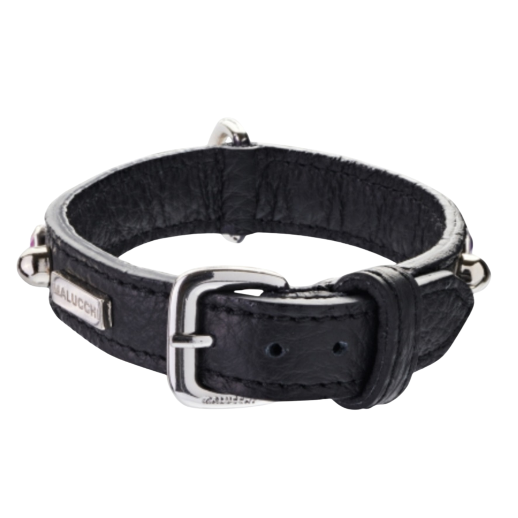 CrazyDogPaul Premium Hundehalsband BRIGHT für kleine Hunde, Breite 2 cm – Luxus-Bullenleder & Swarovski-Steine