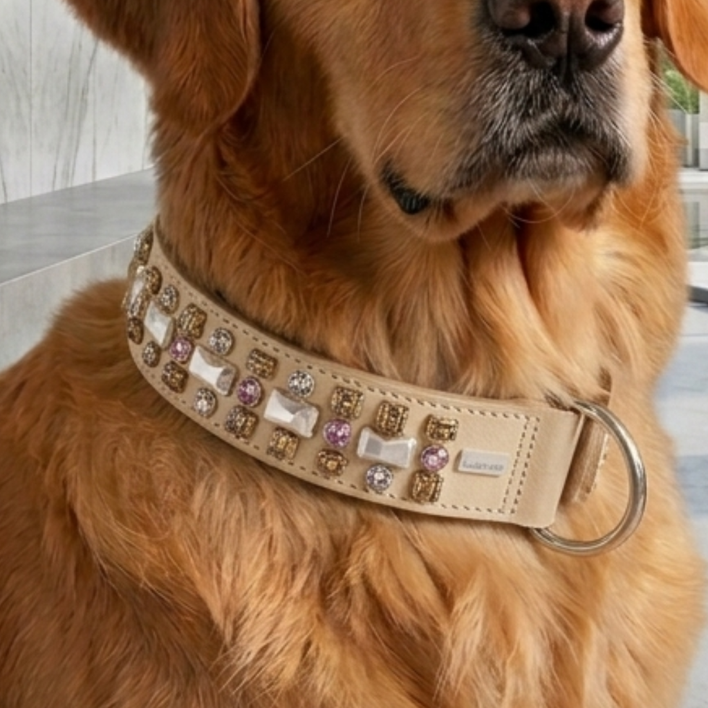 Malucchi Luxus Hundehalsband PETRA Cappuccino NEU – Handgefertigtes Bullenleder & Swarovski | Oberliga für deinen Hund