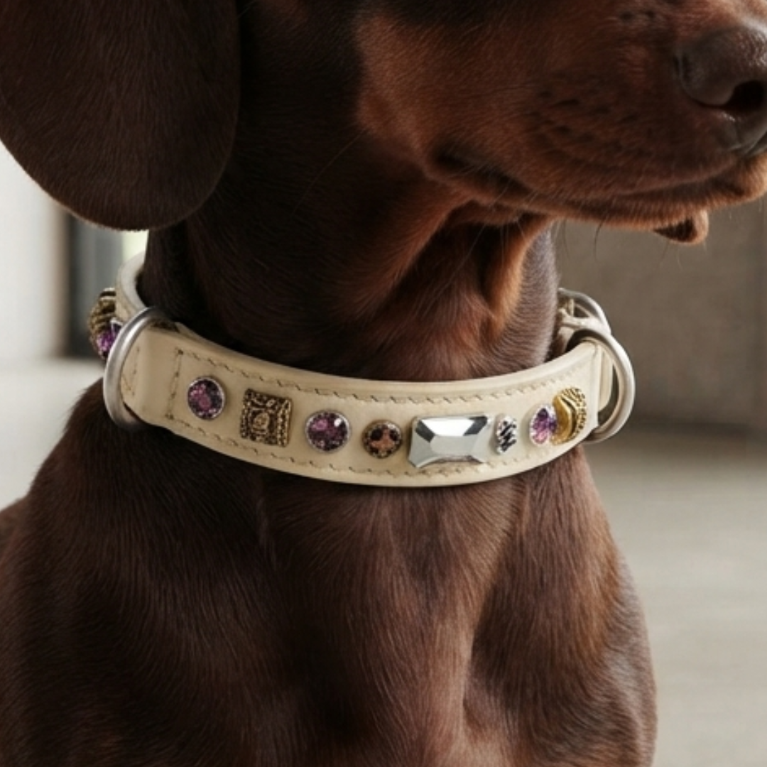 Malucchi Luxus Hundehalsband PETRA – Handgefertigtes Bullenleder & Swarovski | Oberliga für deinen Hund
