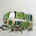 Malucchi Luxus Hundehalsband TRACK in Strepped green - strapazierfähiges Baumwoll Halsband im urbanen Look