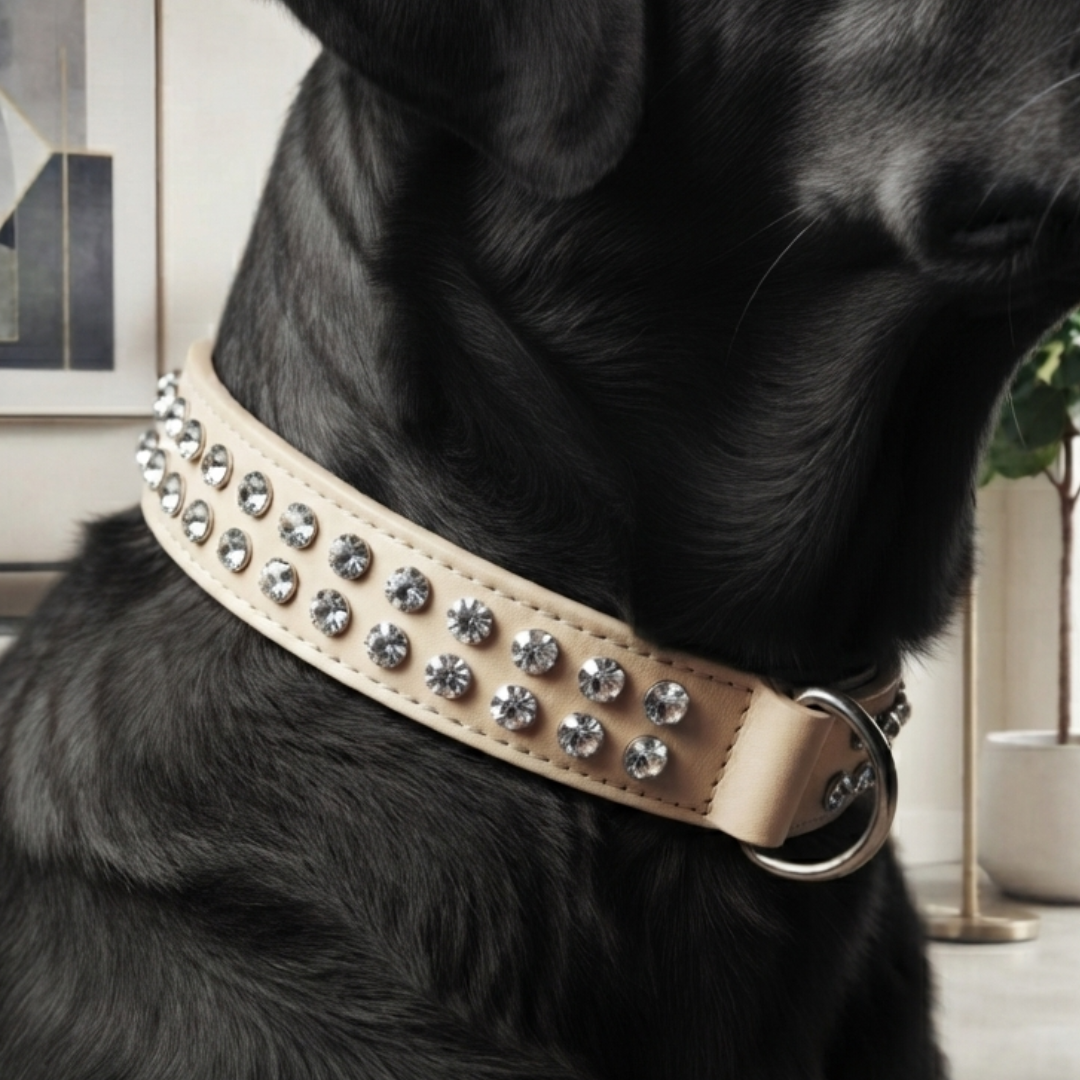 Malucchi Luxus Hundehalsband BULLET – Rock-Chic & Ikonisches Design für mittel große Hunde