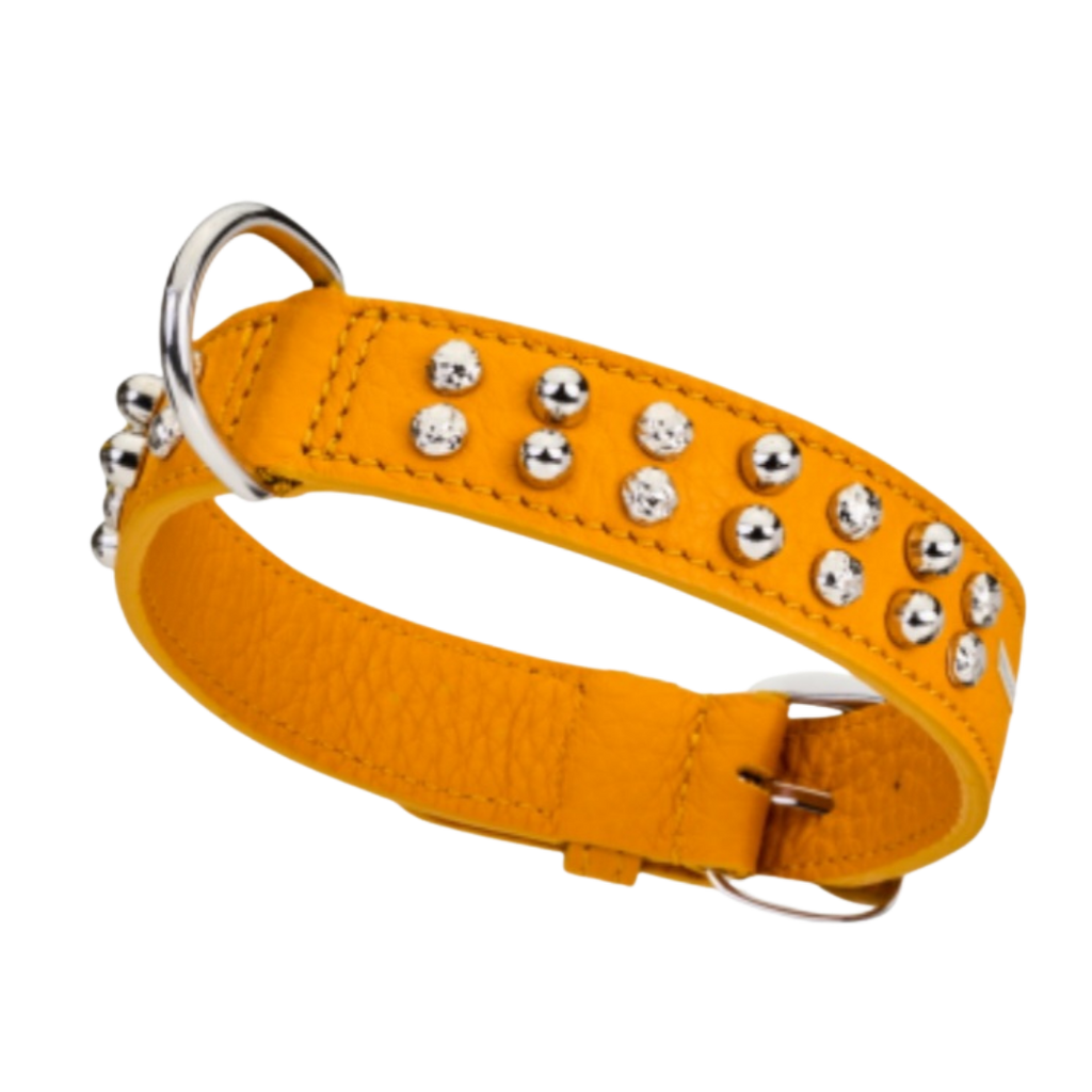 Malucchi Luxus Hundehalsband BULLET – Rock-Chic & Ikonisches Design für mittel große Hunde