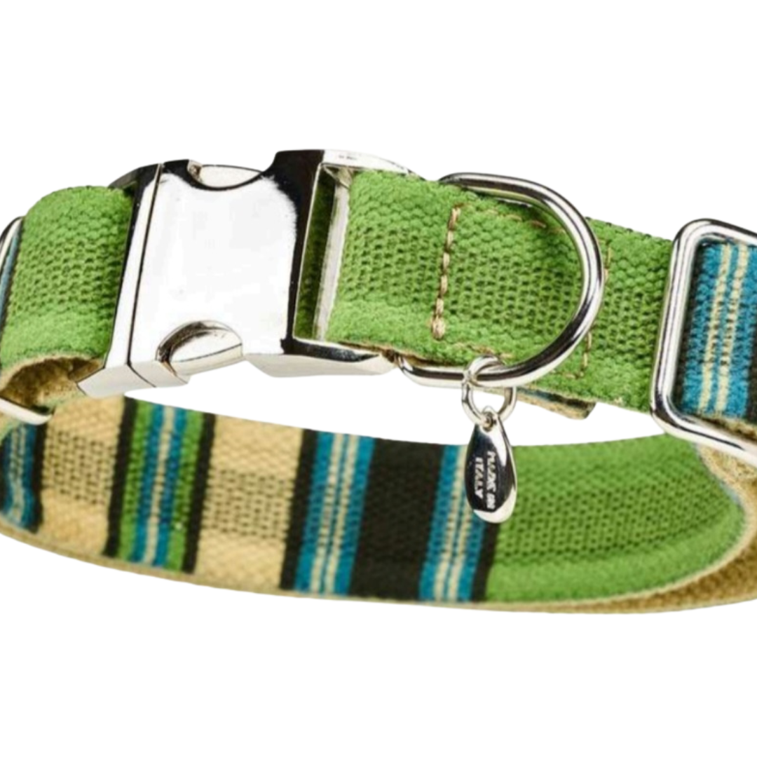 Malucchi Luxus Hundehalsband TRACK in Strepped green - strapazierfähiges Baumwoll Halsband im urbanen Look