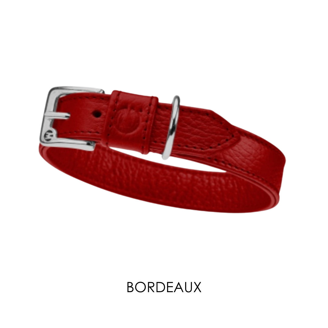 Malucchi Luxus Hundehalsband MOVIE für kleine Hunde