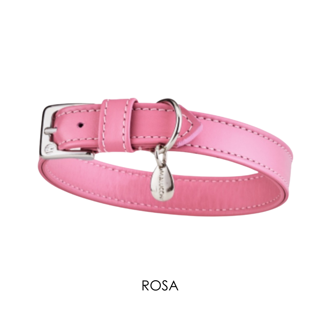 Malucchi Luxus Hundehalsband MOVIE für kleine Hunde