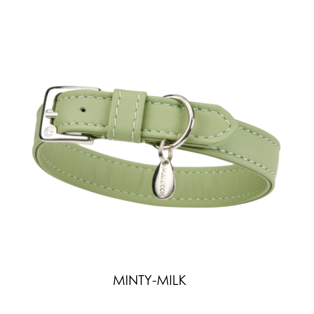 Malucchi Luxus Hundehalsband MOVIE für kleine Hunde