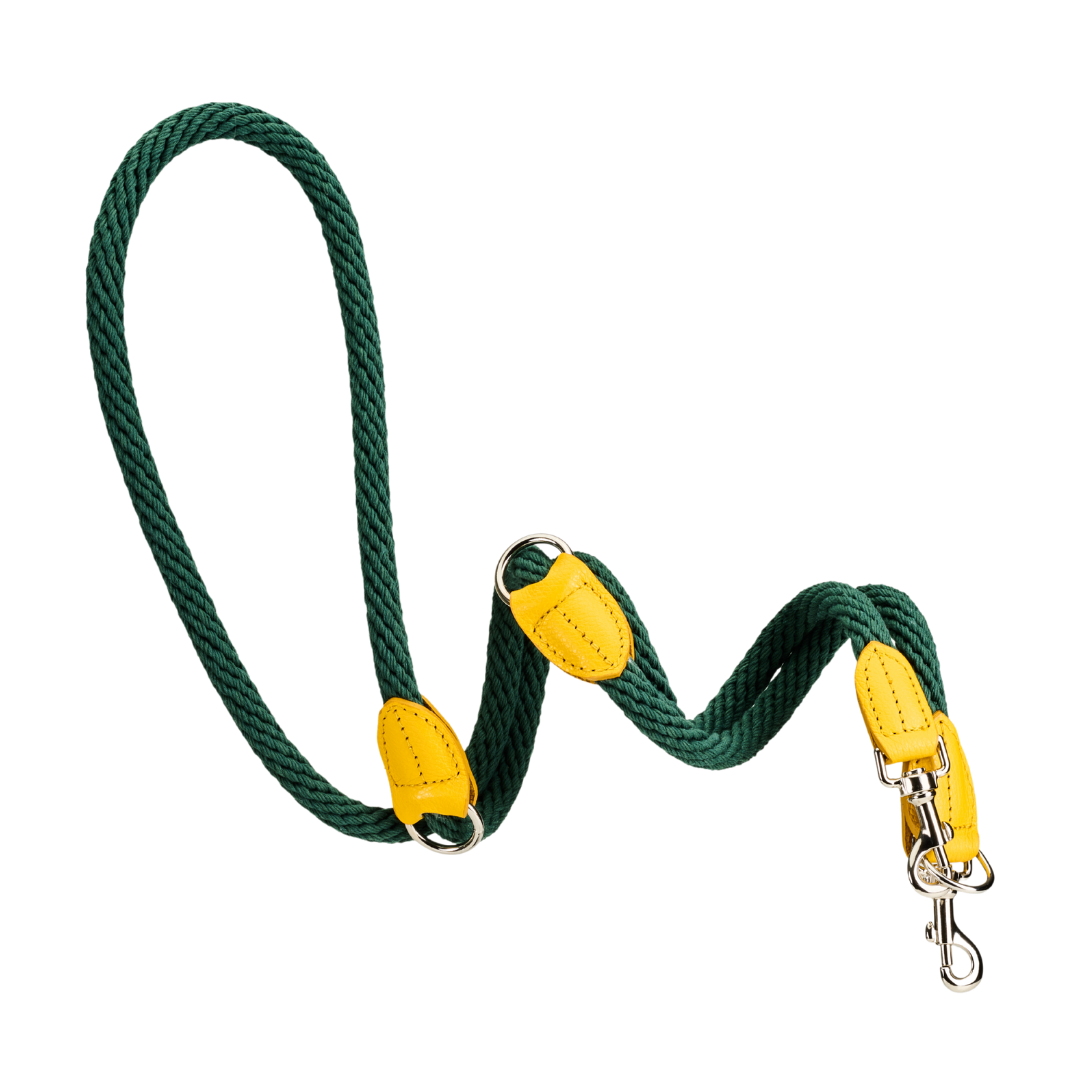 Malucchi Luxus Trainingsleine TREKKER aus Leder & Tau