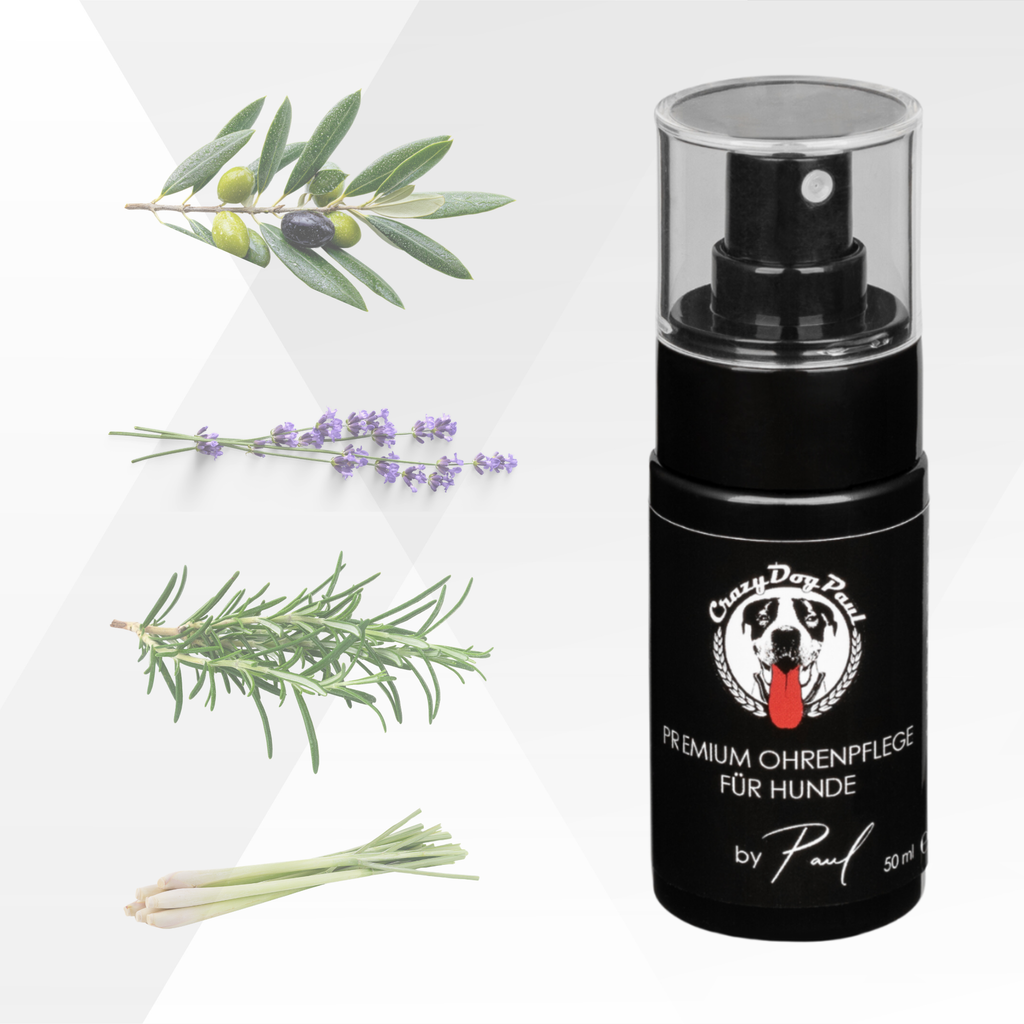 CrazyDogPaul Premium Ohrenpflege für Hunde gegen Juckreiz & Ohrmilben – Natürlicher Ohrenreiniger – 50ml