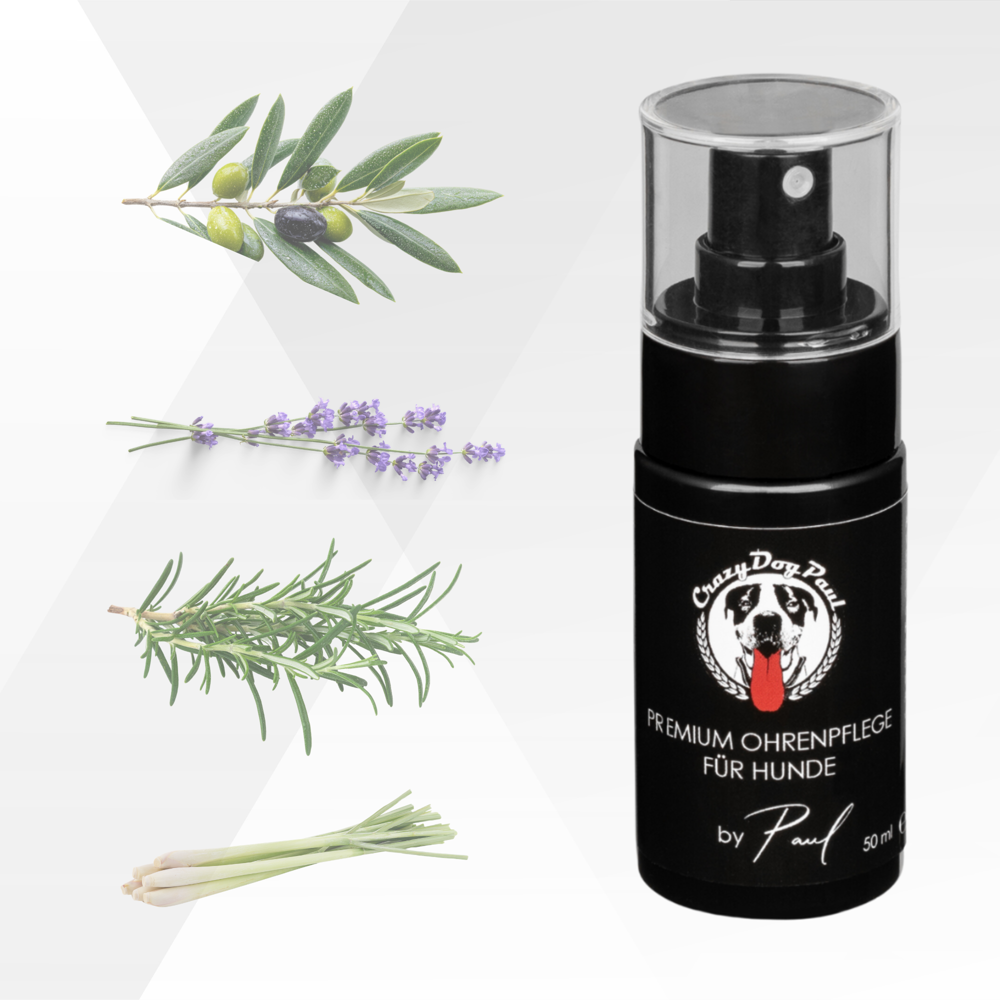 CrazyDogPaul Premium Ohrenpflege für Hunde gegen Juckreiz & Ohrmilben – Natürlicher Ohrenreiniger – 50ml