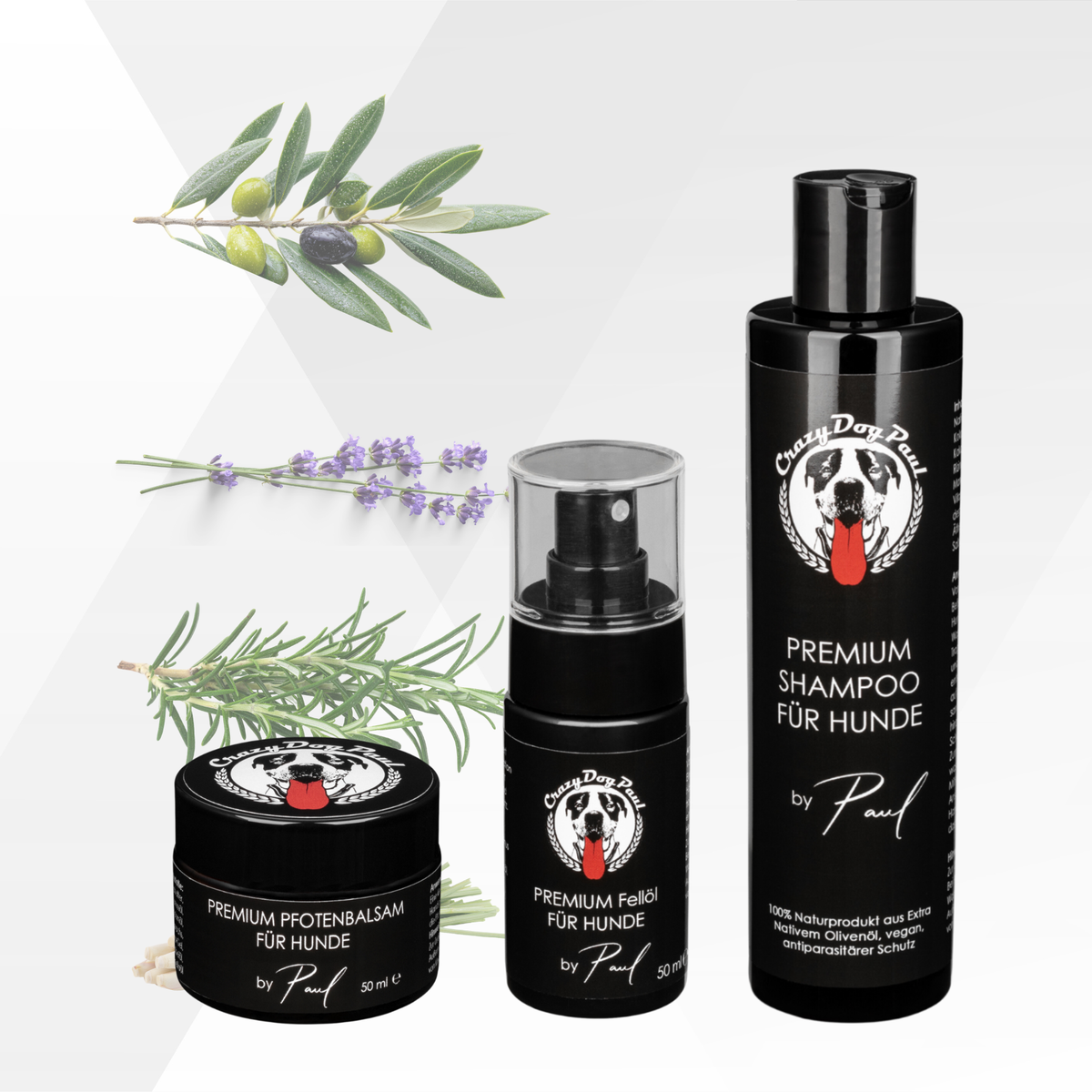 CrazyDogPaul Geschenkbox: START- im schwarzen Geschenkkarton , ideal für Hundegeburtstage!