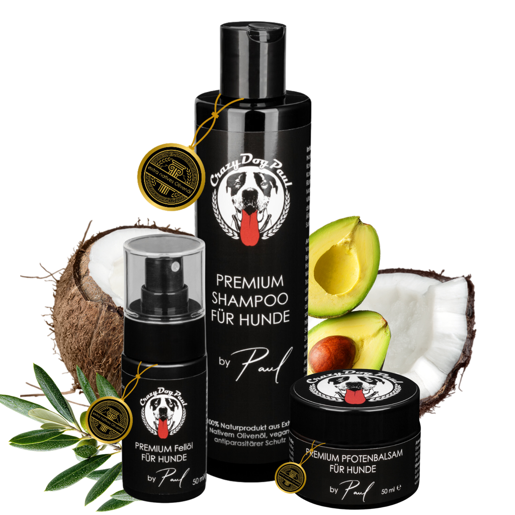 CrazyDogPaul 1 x Premium Hundshampoo 1 x Premium Fellpflege 1 x Premium Pfotenbalsam All-In One Set - im schwarzen Geschenkkarton , ideal für Hundefreunde zum Geburtstag