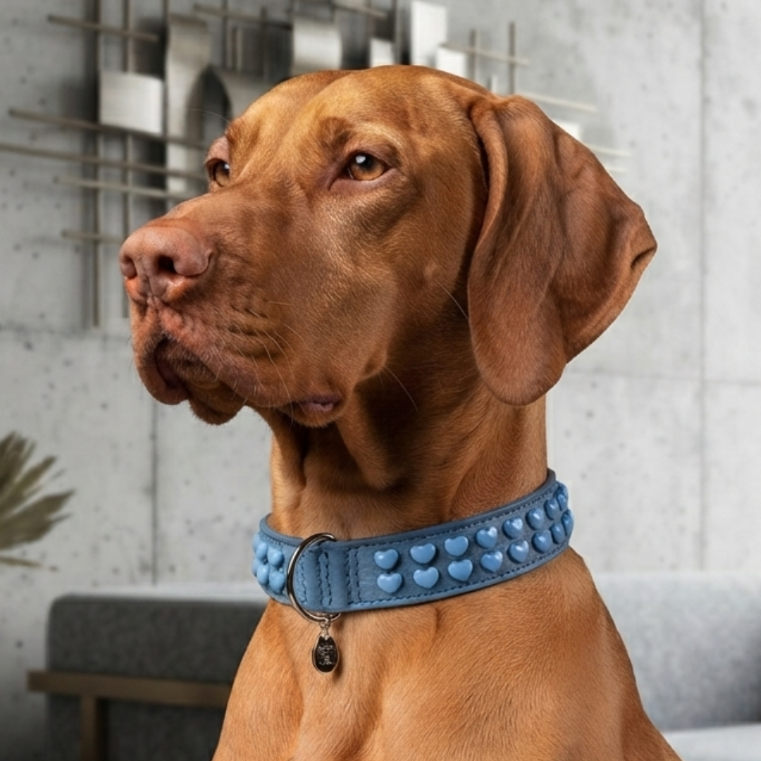 Malucchi Luxus Hundehalsband LE BEBÉ – Blau - Exklusives Lederhalsband für mittel- und große Hunde