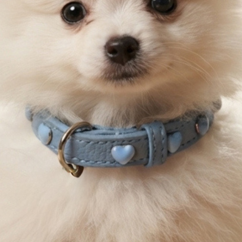 Malucchi Luxus Hundehalsband LE BEBÉ – Blau - Exklusives Lederhalsband für kleine Hunde