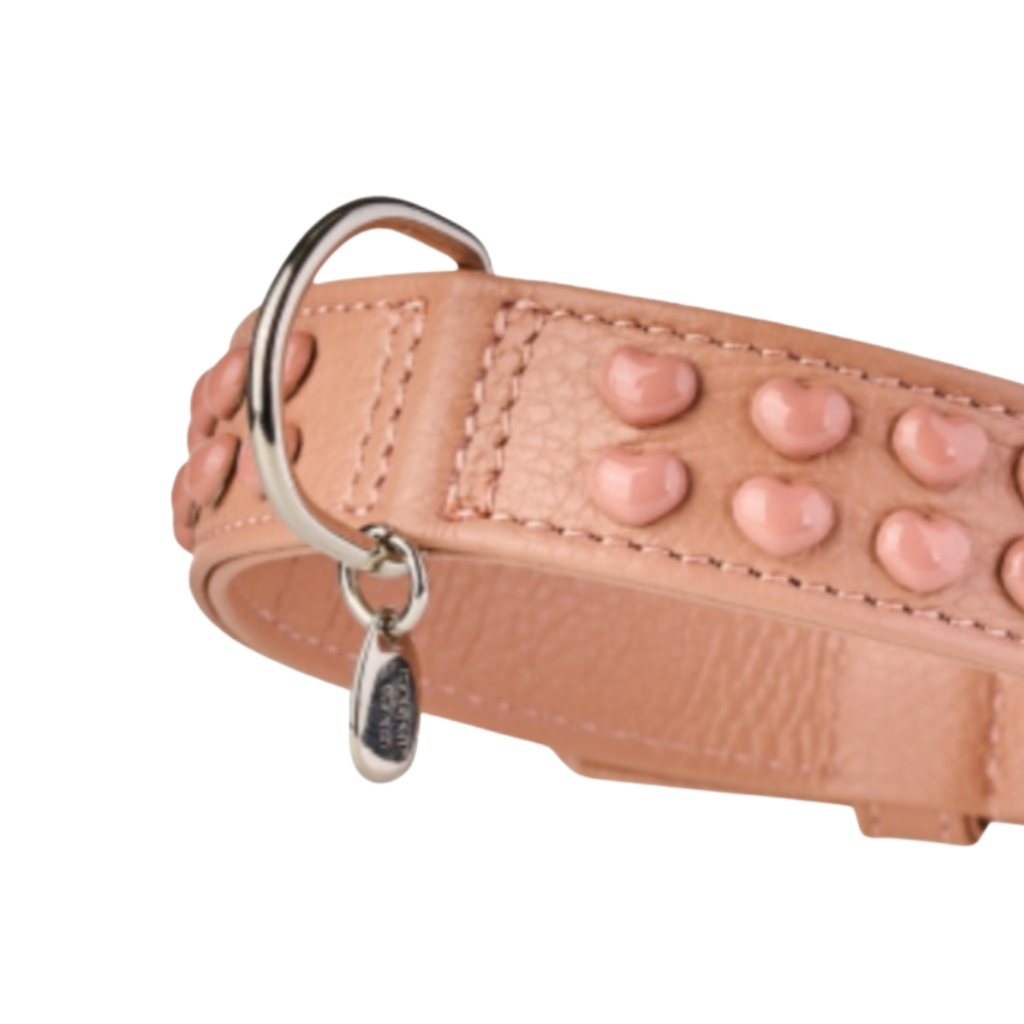 Malucchi Luxus Hundehalsband LE BEBÉ – Rosa - Exklusives Lederhalsband für mittel- und große Hunde (Kopie)