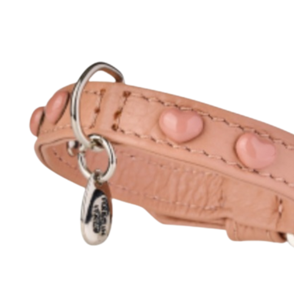 Malucchi Luxus Hundehalsband LE BEBÉ – Rosa - Exklusives Lederhalsband für kleine Hunde (Kopie)