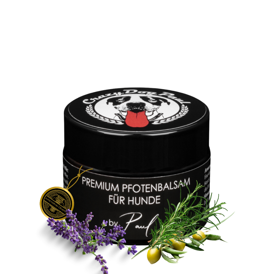 Crazydogpaul Premium Pfotenbalsam für Hunde – Natürlicher Pfotenschutz (50ml)