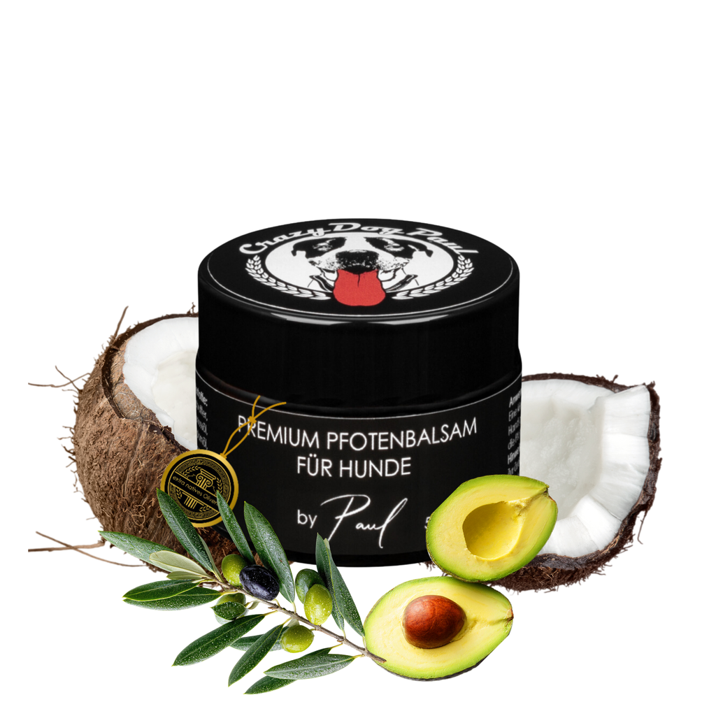 Crazydogpaul Premium Pfotenbalsam für Hunde – Natürlicher Pfotenschutz (50ml)