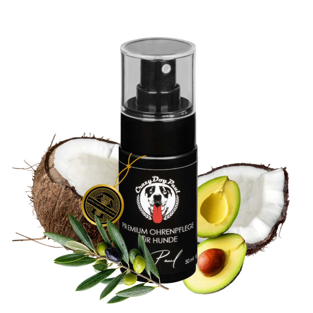 Crazydogpaul Premium Ohrenpflege für Hunde – Natürlicher Ohrenreiniger (50ml)