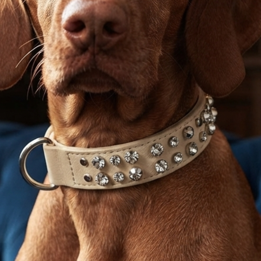 Malucchi Luxus Hundehalsband BULLET – Rock-Chic & Ikonisches Design für mittel große Hunde