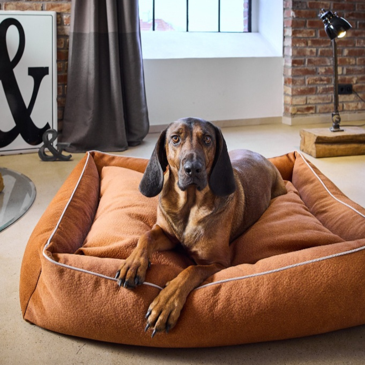 Design-Hundebett - BUFFALO Farbe TERRACOTTA VELVET
