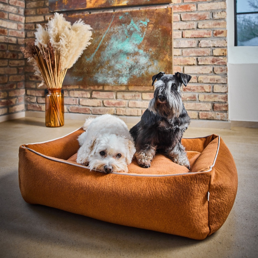 Design-Hundebett - BUFFALO Farbe TERRACOTTA VELVET