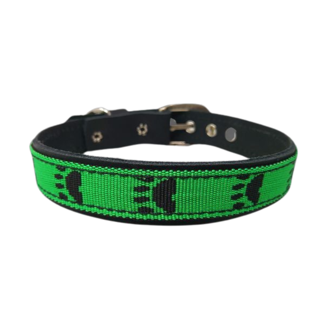 CrazyDogPaul Premium Hundehalsband TERNI – Echtes Leder mit Pfoten-Print (2,5 cm)