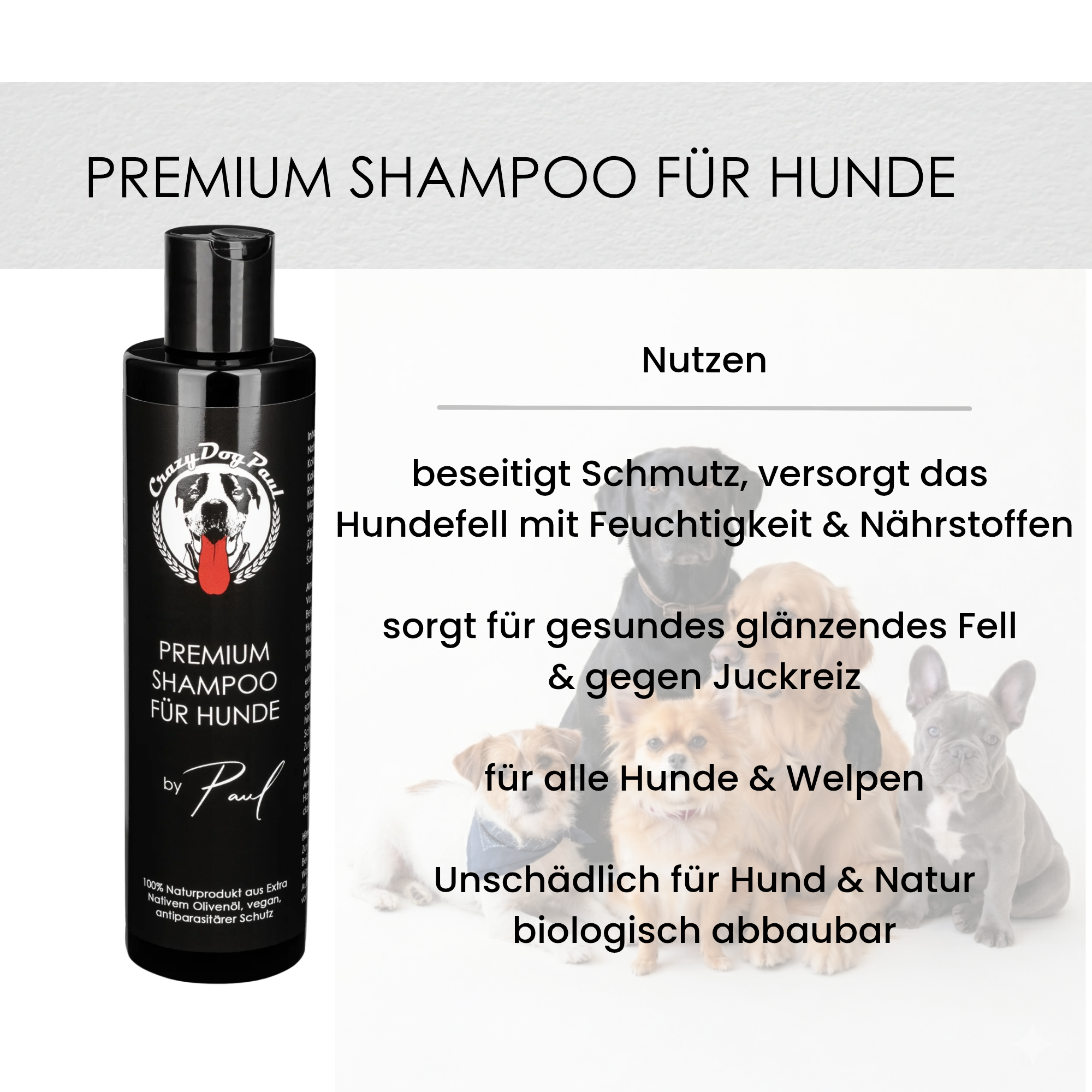 Sensitiv Hundeshampoo gegen Geruch und Juckreiz, Natürliche Fellpflege, ohne Chemie, vegan