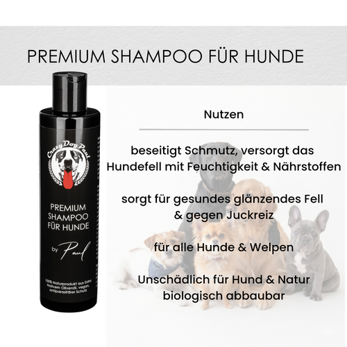 CrazyDogPaul 1 x Premium Hundshampoo 1 x Premium Fellpflege 1 x Premium Pfotenbalsam All-In One Set - im schwarzen Geschenkkarton , ideal für Hundefreunde zum Geburtstag