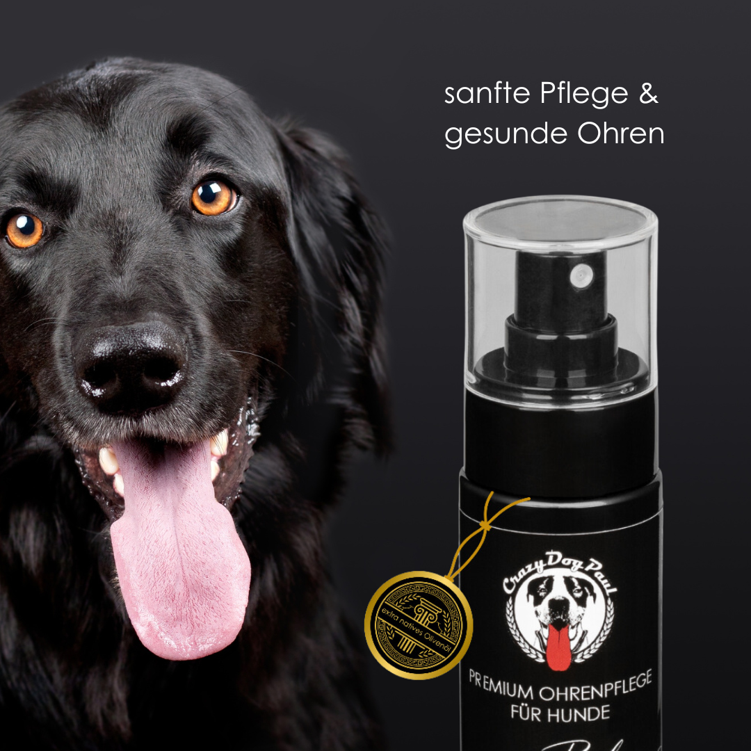 CrazyDogPaul Premium Anti-Zecken Set – Natürliche Fell-, Ohren- & Pfotenpflege