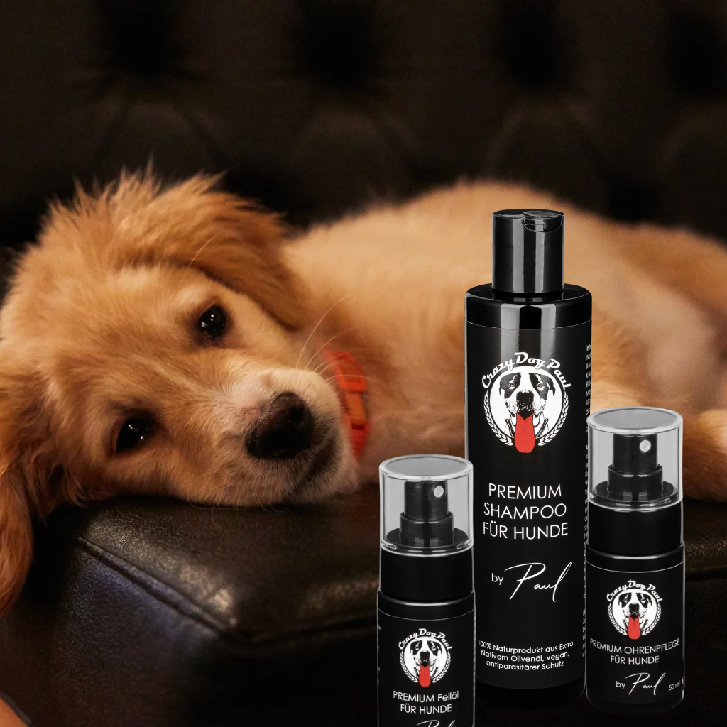 CrazyDogPaul Premium Anti-Juckreiz Set – Natürliche Fell- & Ohrenpflege