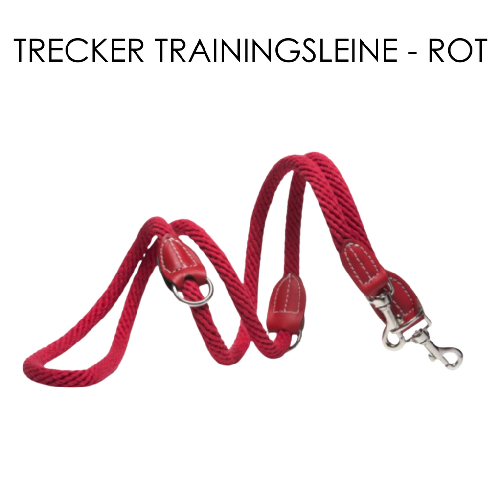 Malucchi Luxus Trainingsleine TREKKER aus Leder & Tau