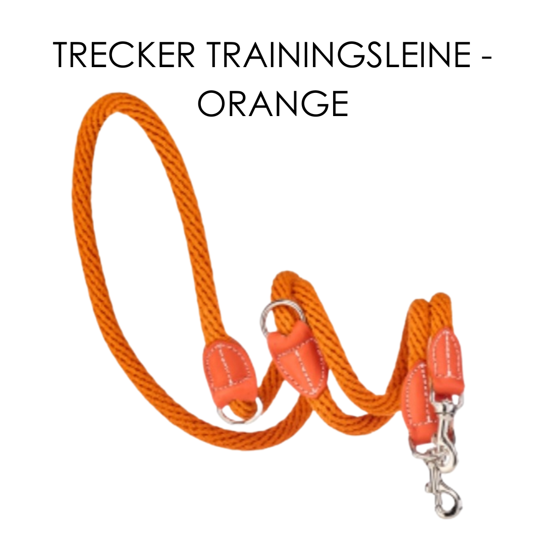 Malucchi Luxus Trainingsleine TREKKER aus Leder & Tau