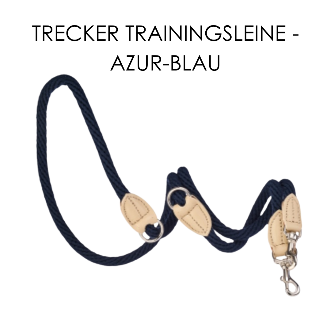 Malucchi Luxus Trainingsleine TREKKER aus Leder & Tau