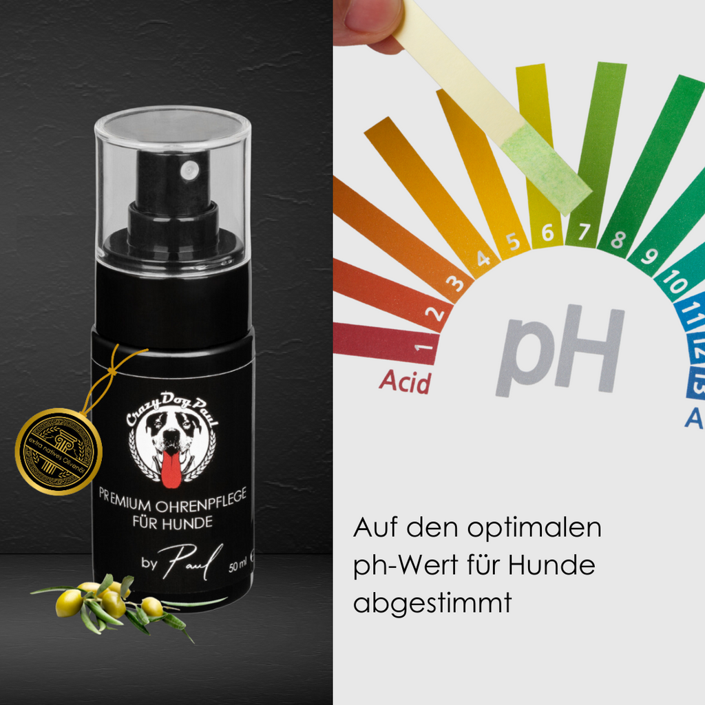 100% pflanzlicher Ohrenreiniger ohne Alkohol und Chemie – Vorbeugung gegen Ohrenentzündungen