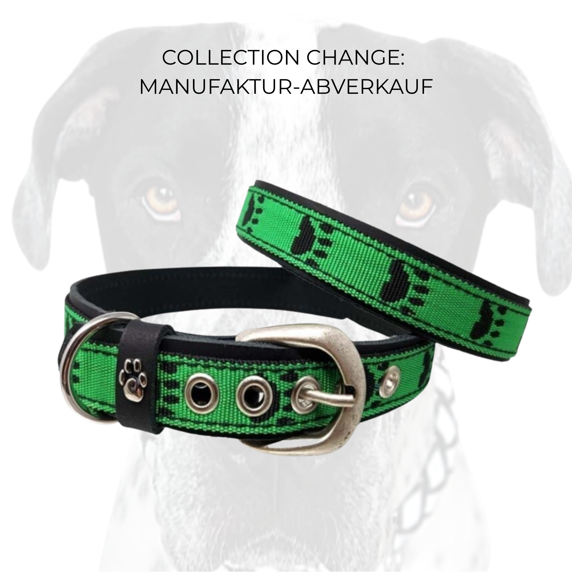 CrazyDogPaul Premium Hundehalsband TERNI – Echtes Leder mit Pfoten-Print (2,5 cm)