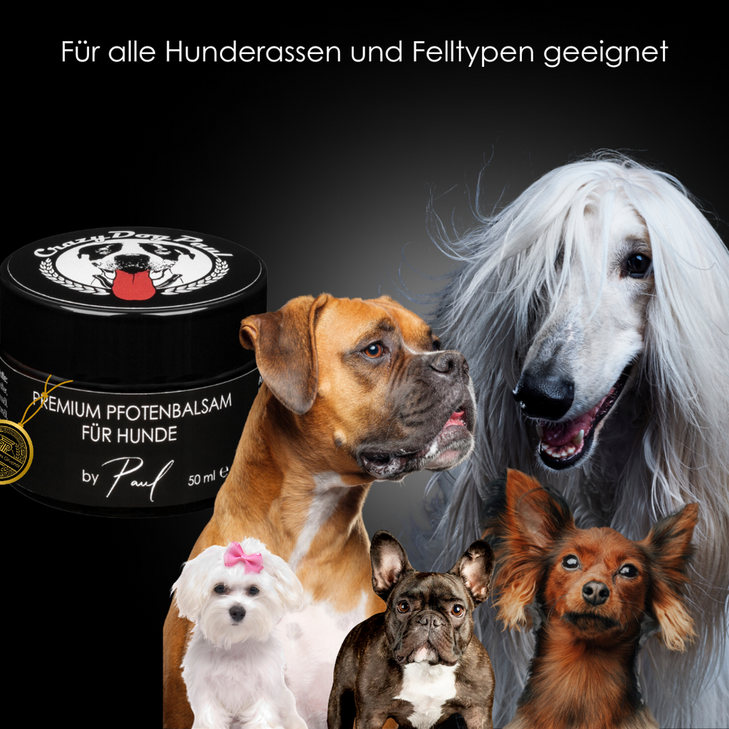 Was tue ich gegen raue Pfoten & Liegeschwielen? Die Haut braucht hier tiefe Fettzufuhr die rissige Ballen lindern, schnell einzieht und langanhaltend vor Streusalz, Hitze und rauem Asphalt schützt.. Mehr Infos findest du hier: